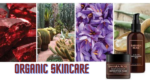 Organic SkinCare Web banner